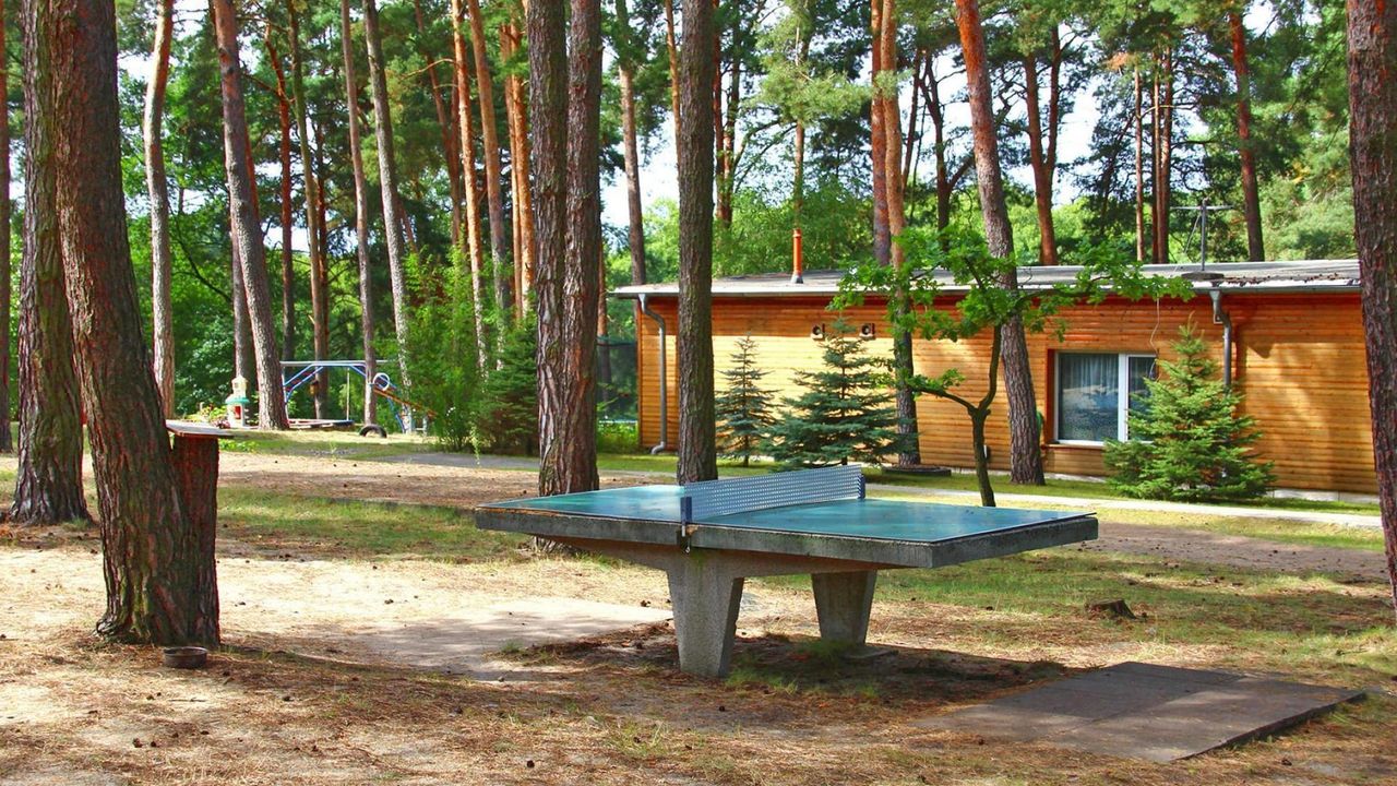 AreaSummer1KM AreaSummer1KM